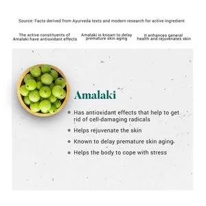 Amalaki (60 Tablets) - Himalaya