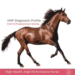 High Health High Performance Horse Profile