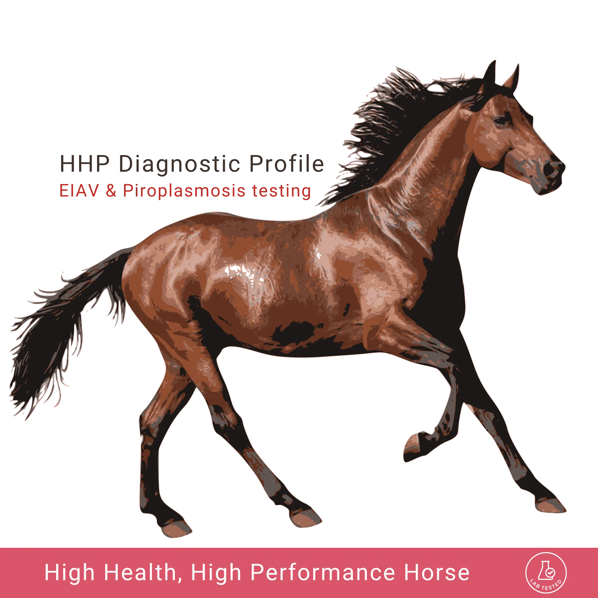 High Health High Performance Horse Profile