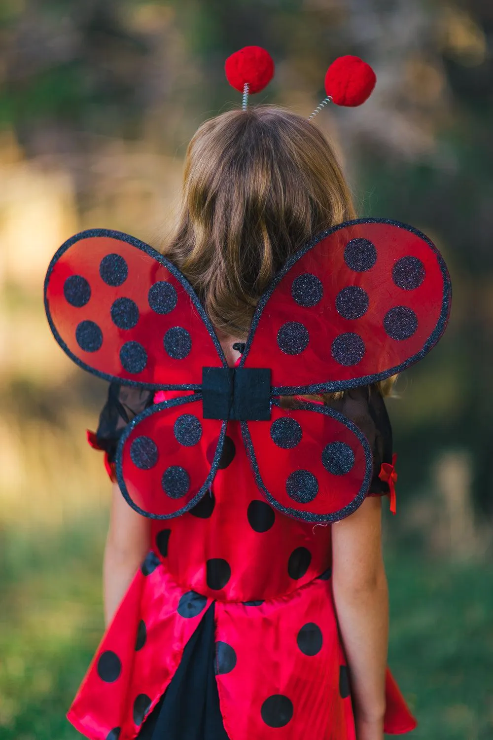 Ladybug Tutu Costume Set