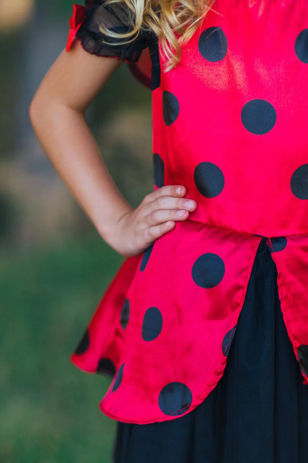 Ladybug Tutu Costume Set