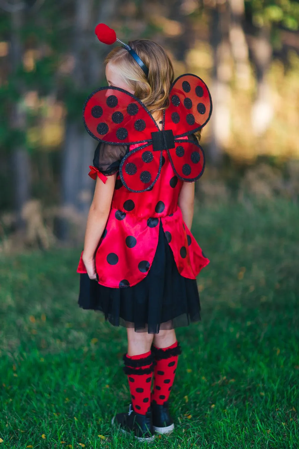 Ladybug Tutu Costume Set