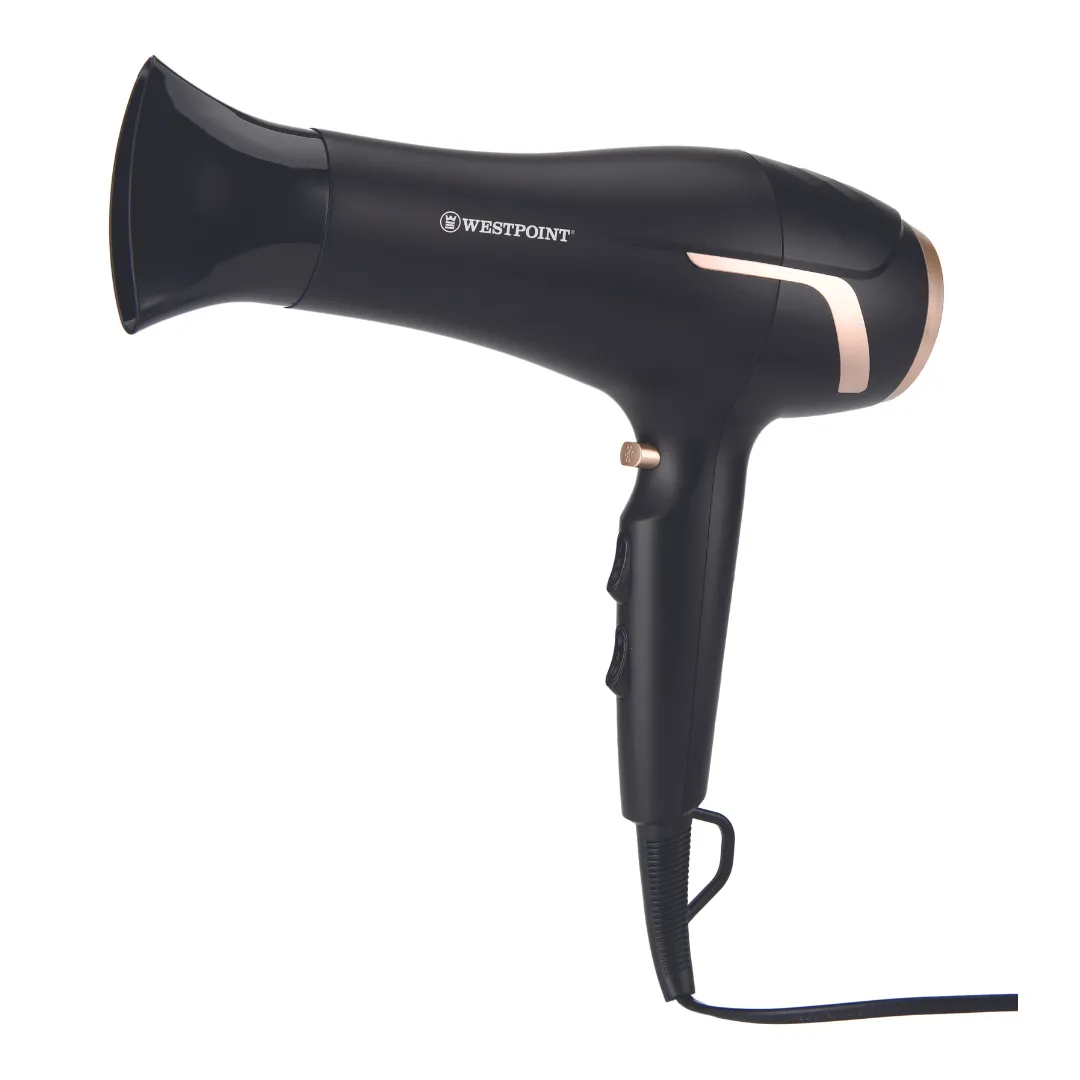 Professional Hair Dryer WF-6280