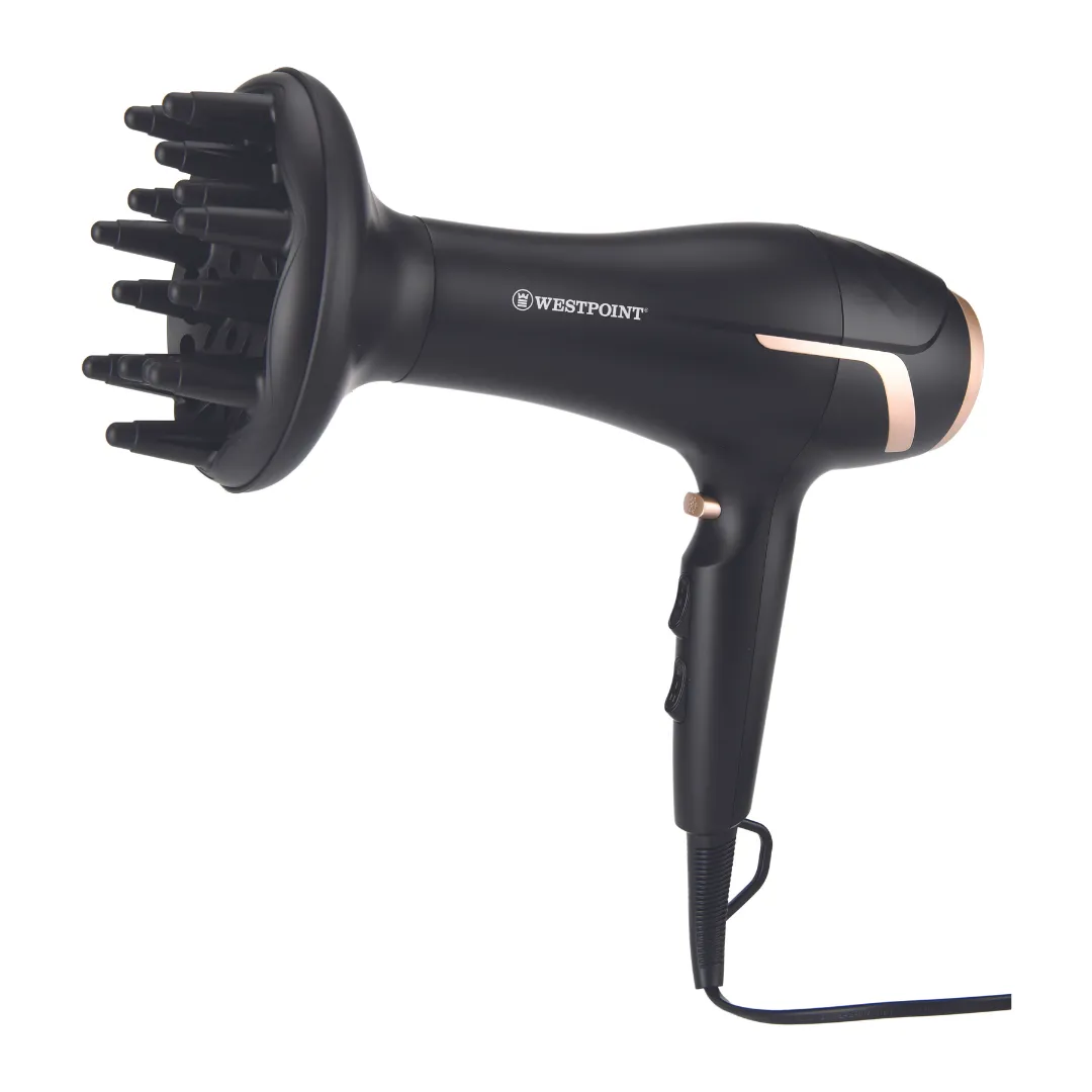 Professional Hair Dryer WF-6280