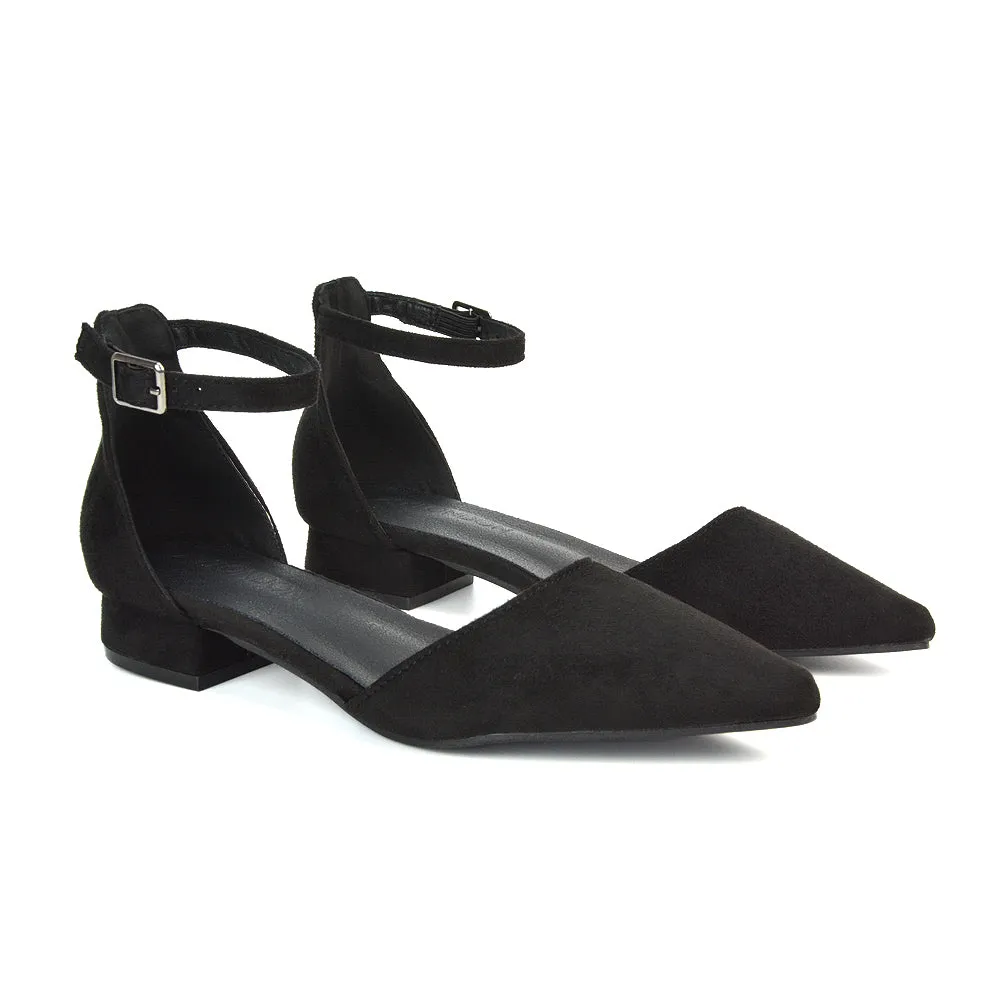 Robyn Pointed Toe Low Heel Strappy Court Shoes in Black Faux Suede