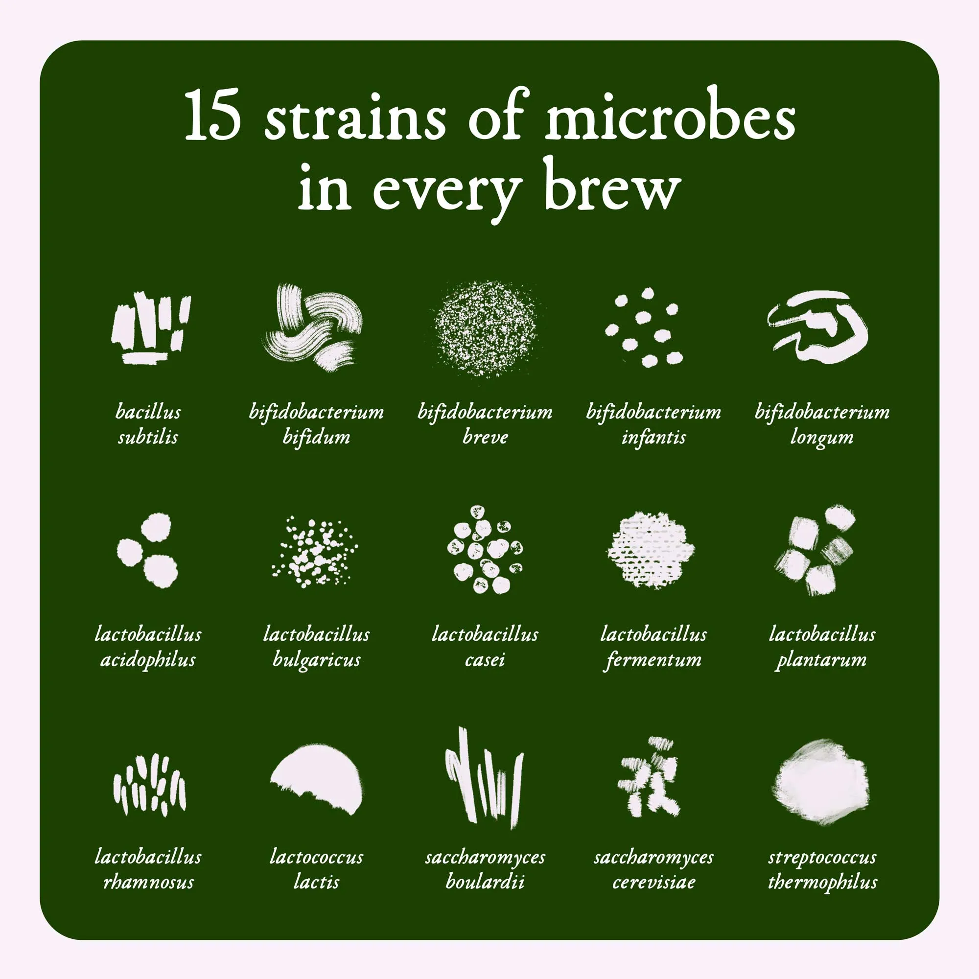 Sustain probiotic